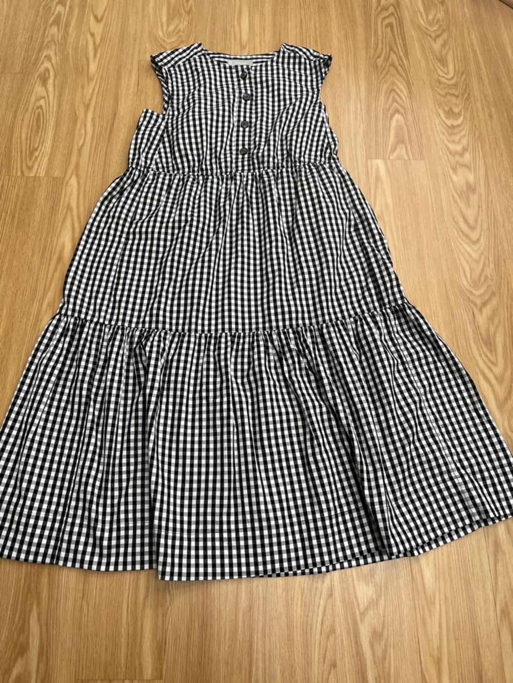 Everlane Black and White Gingham Button-Front Midi Dress